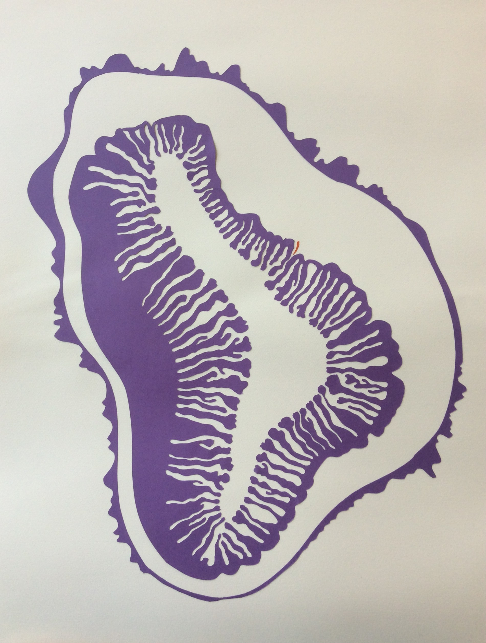 "Organ-ic", cut paper, 22" x 30"